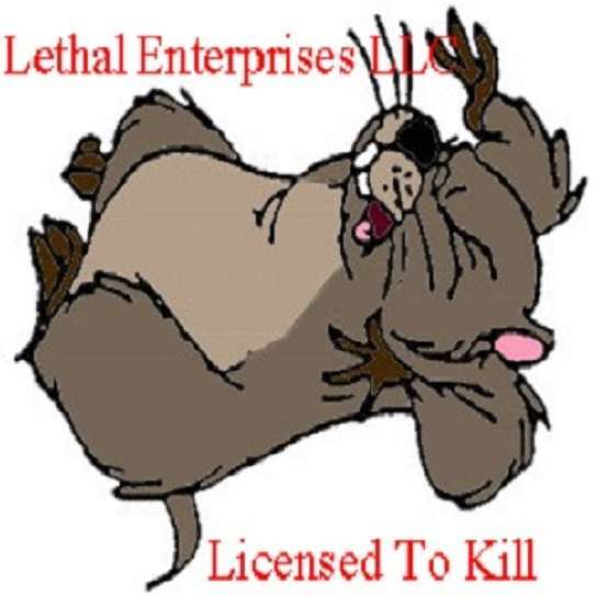 Lethal Enterprises LLC