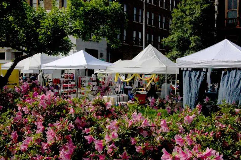 mulberry macon valdosta