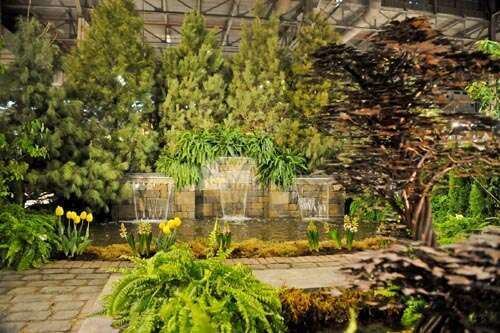 Canada Blooms: Flower and Garden Festival