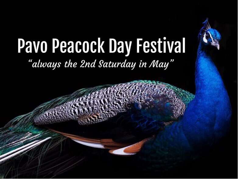 Peacock Day Festival