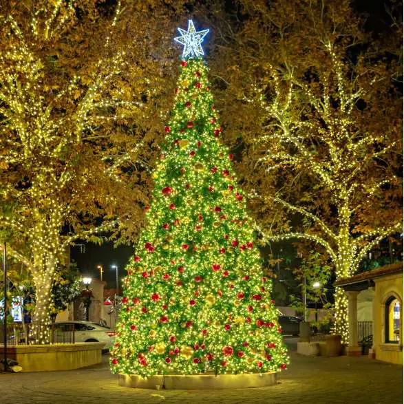 Sedona Tree Lighting & Santa Visit