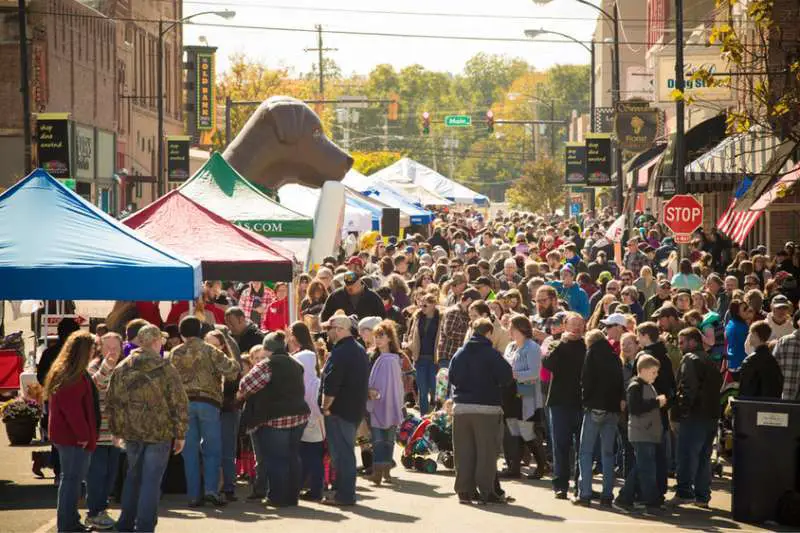 Downtown Fall Festival & Chili Cookoff
