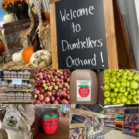 Drumheller's Apple Harvest and Apple Butter Festival II