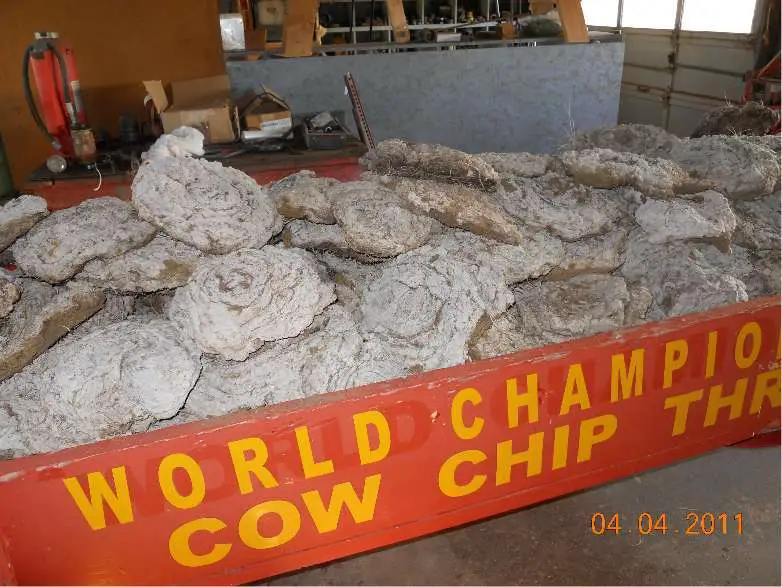 World Cow Chip Throwing Championships Craft Show