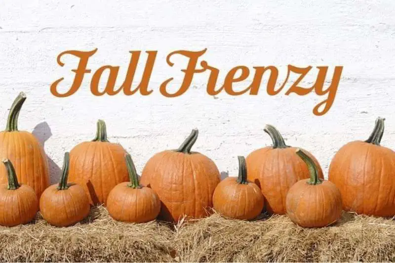 Fall Frenzy & Holiday Fair