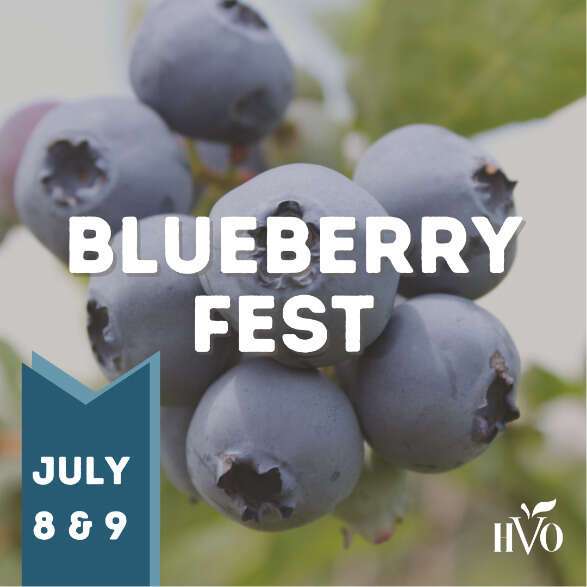 HVO BluesBerries Fest