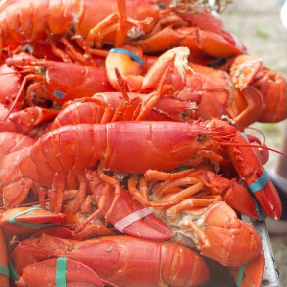 Winter Harbor Lobster Festival