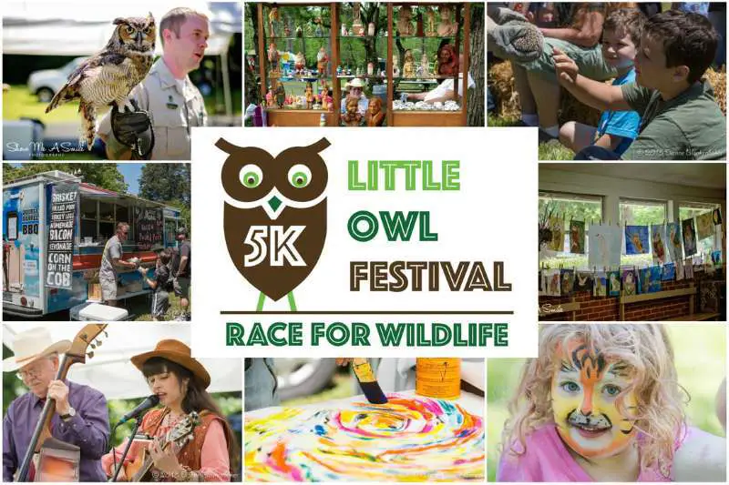 Little Owl Festival