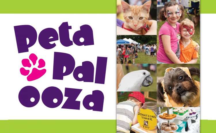 Petapalooza Pet Adoption Festival