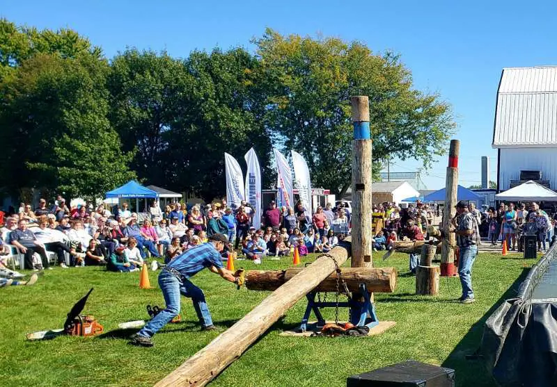 Lumberjack Show at Selmi's Farm