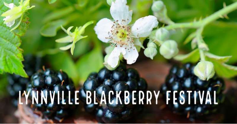 Lynnville Blackberry Festival