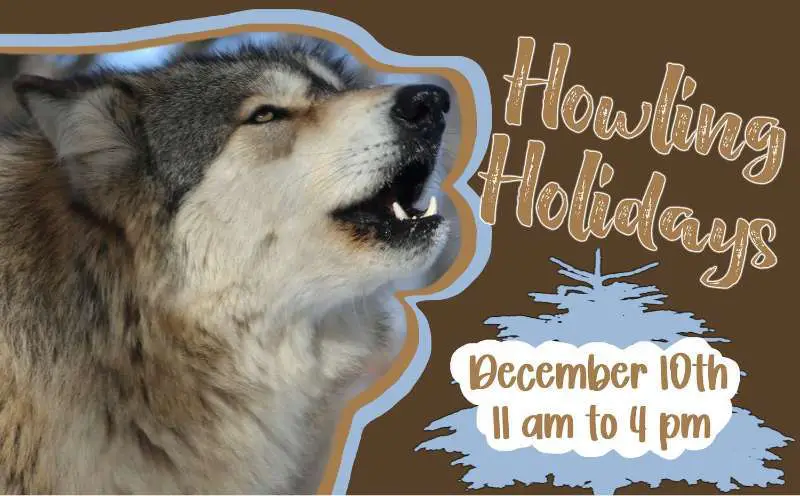 Howling Holidays