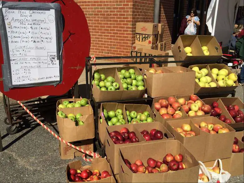 Amherst Apple Harvest Festival