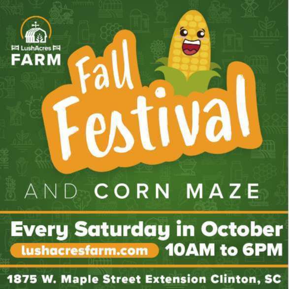 LushAcres Fall Festival and Corn Maze