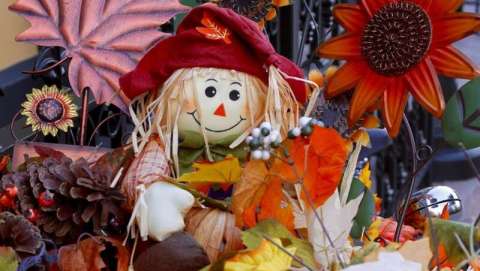 Ukiah Country Pumpkinfest