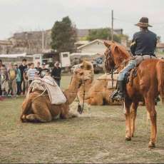Celia Frances Bitter