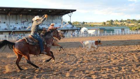 Moffat County Fair