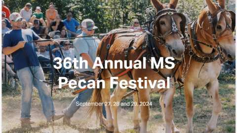 Mississippi Pecan Festival