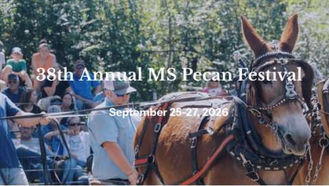 Mississippi Pecan Festival