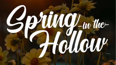 Spring in the Hollow