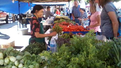 Sonora Certified Farmer's Market - August