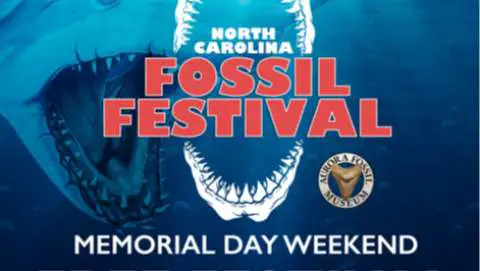 North Carolina Fossil Festival