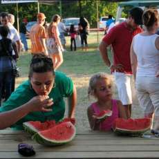 Juicy Watermelon Slices