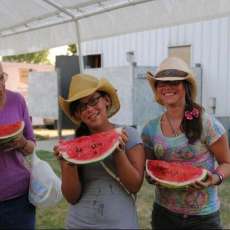 Fun For the Whole Family