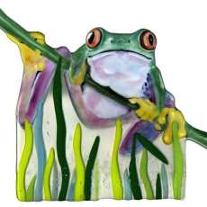 Tropical Frog on fused glass