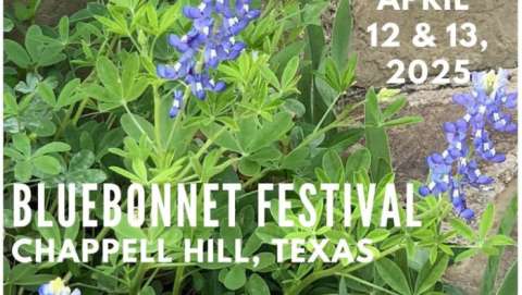 Bluebonnet Festival of Texas