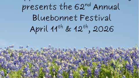 Bluebonnet Festival of Texas