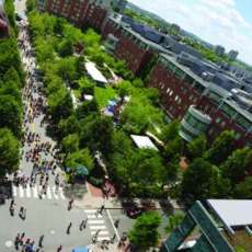 Cambridge Arts River Festival