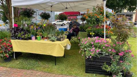 Market on the Square - August