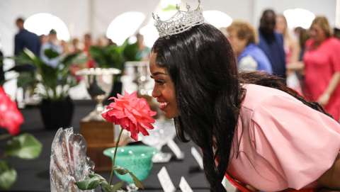 Thomasville Rose Show and Festival