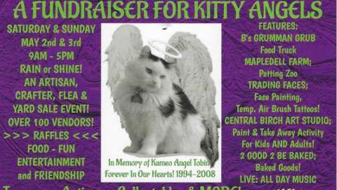 Power of Angels, Kitty Angels Fundraiser
