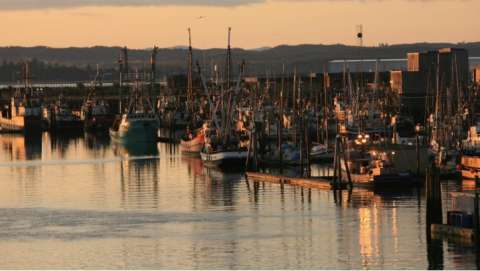 Westport Art Festival