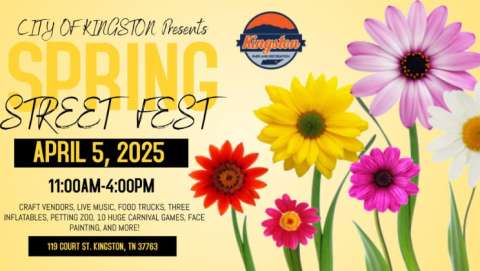 Kingston Spring Street Fest