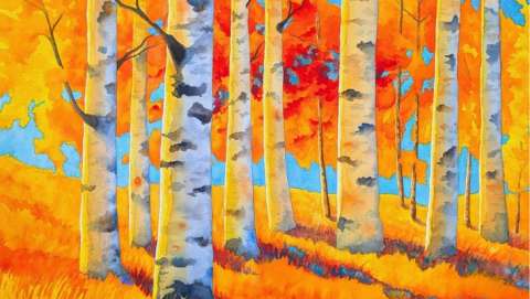 Bainbridge Island Winter Studio Tour