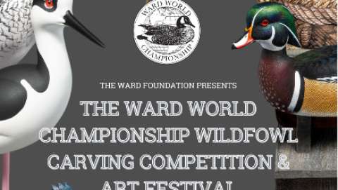 Ward World Championship Wildfowl Competition