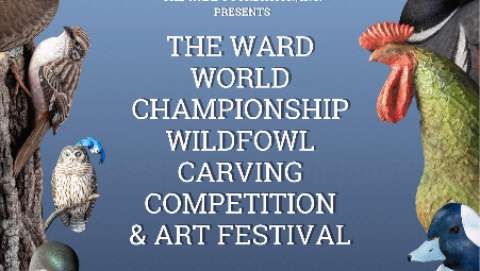 Ward World Championship Wildfowl Competition