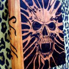 Skulls Book Box