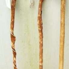 NATURAL ROOT HANDLE WALKING STICK     PRICE: $60.00