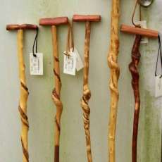 T-HANDLE NATURAL CURL WALKING STICK     PRICE: $60.00