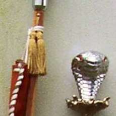 WIZARD COSTUME STAFF 2     PRICE: $150.00