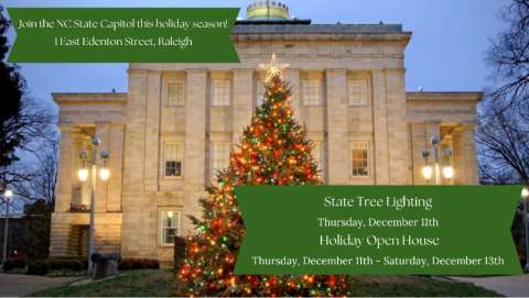 Govenor's Tree Lighting Ceremony and Holiday Festival