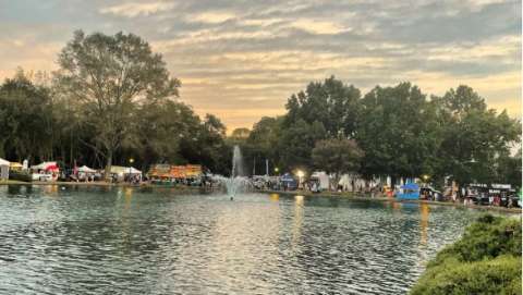 Festival in the Park