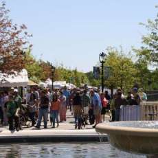 Kings Drive Art Walk