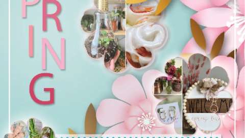 Holy Cow Spring Boutique