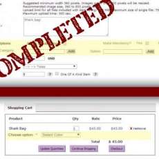 #13 Allow Sellers to Add Options to Their Items