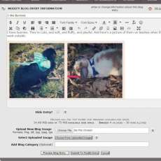 #19 Add the Ability to Preview Blog Entry Before Submitting